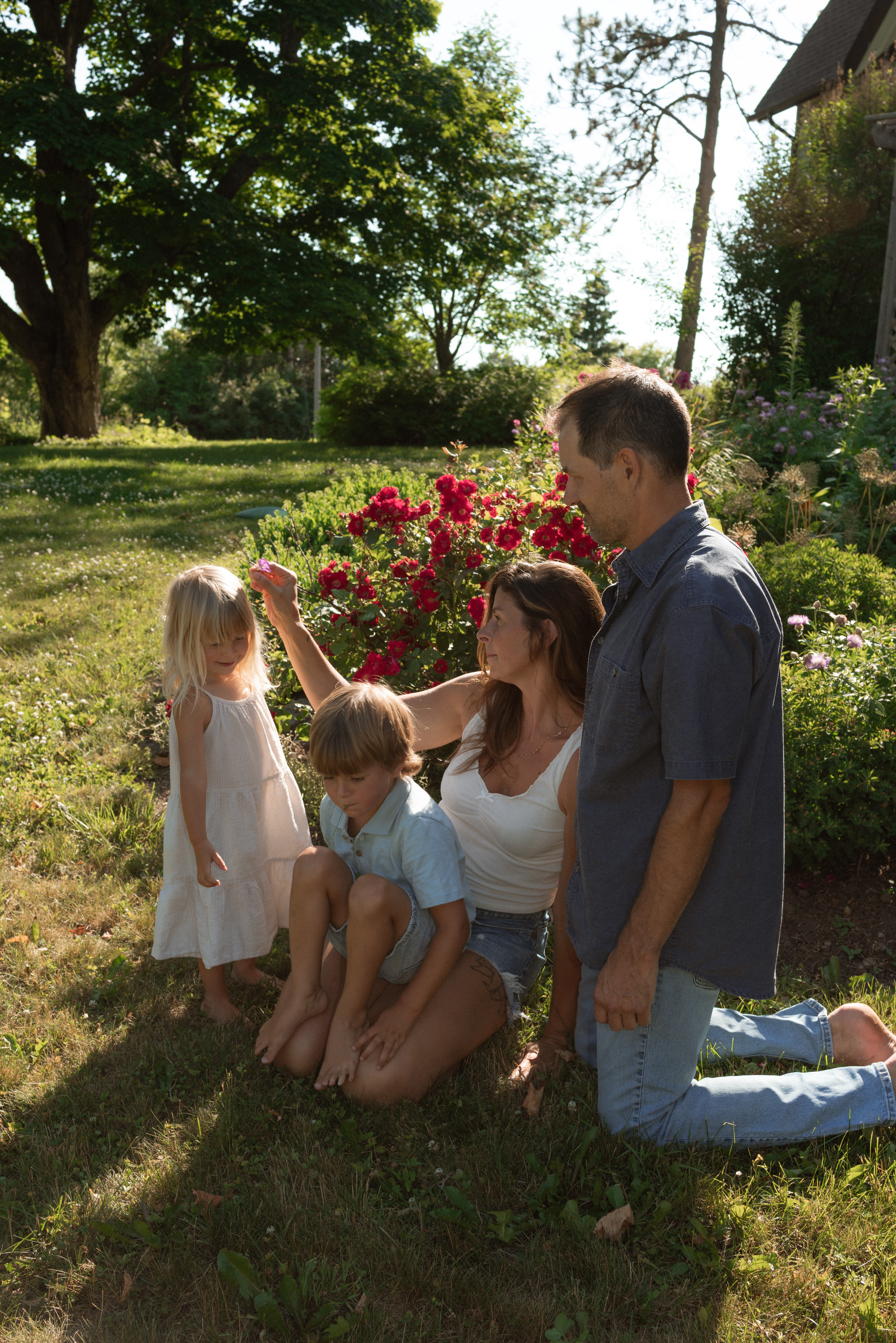 candid family moment infront of rroses in their backyard during documentary family session