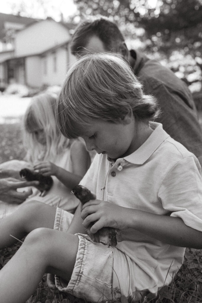 children holding their baby chicks as they play in their country backyard 