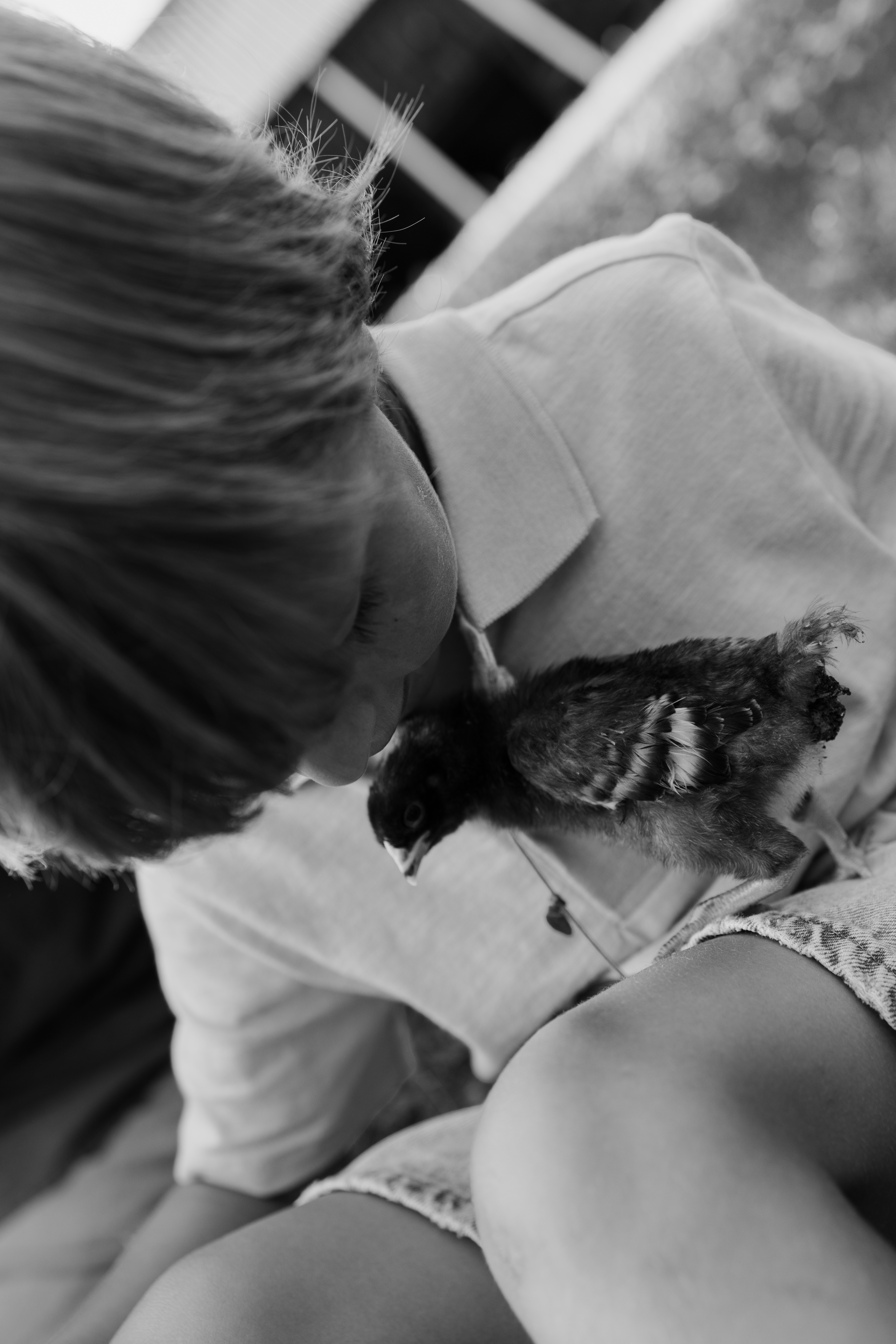 little boy kissing baby chick as it sits on his knee 
